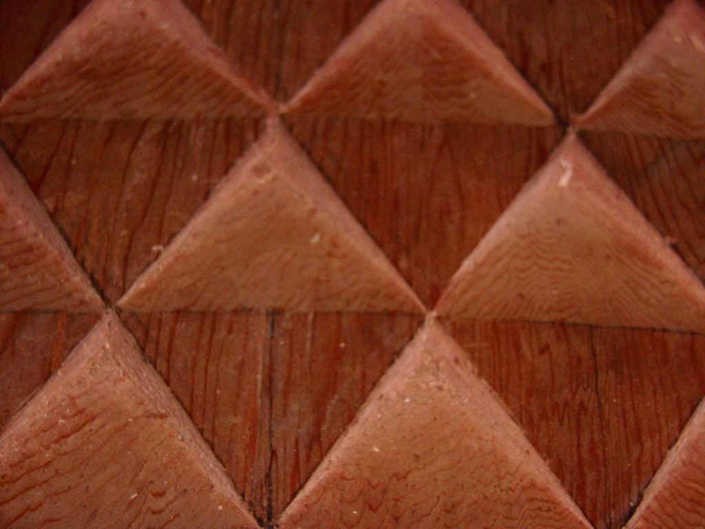 WOOD_beavtailflash